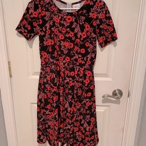 Lularoe Amelia